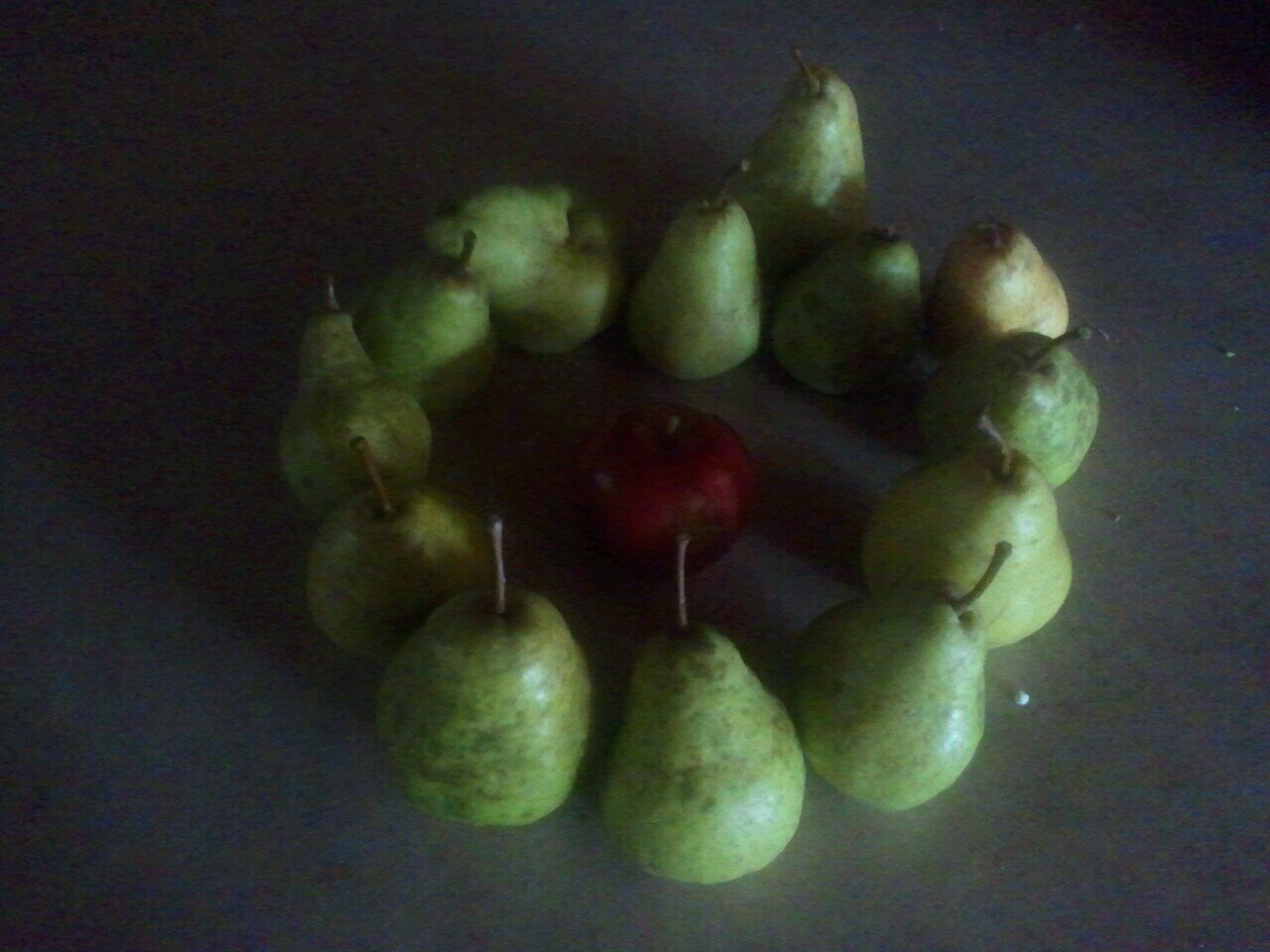 PhoenyyxRising's profile picture. Immortality is just out of our grasp...
Except I got wings, YOINK, MINE!!