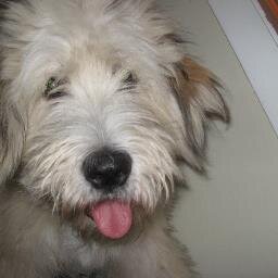 kkrandazzo's profile picture. 