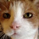 Marilyn Gibbons - @marilyn_gibbons - Twitter