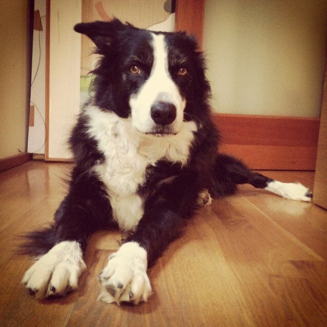 auny78's profile picture. 