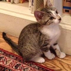 feenyt's profile picture. Culture Reporter at the New York Times,