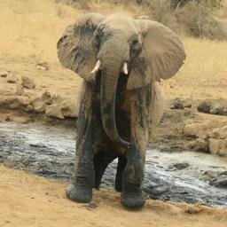 hoya_project's profile picture. Hoya: HBase on YARN (and Accumulo!)