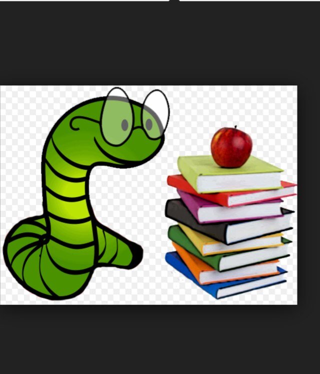 Elementary library media teacher in Providence, RI
