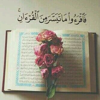 teaaf_hcctf64's profile picture. الله أكبر