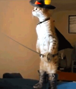 Feline Musketeer. Scourge of Dogs. Swiftie, Disciple of the Lord