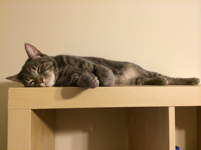 crabeighteight's profile picture. 