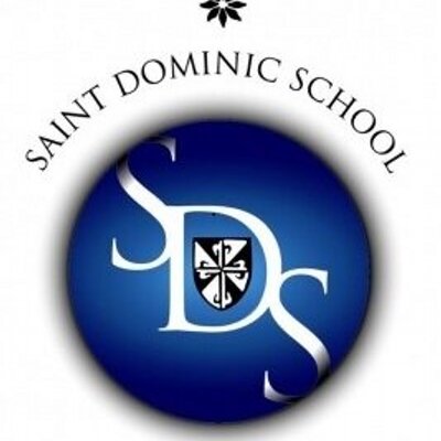 dominic saint school
