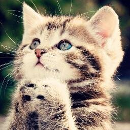 BonnieO_'s profile picture. Poet, MOM, ex-biker chick, and one cool girl :)