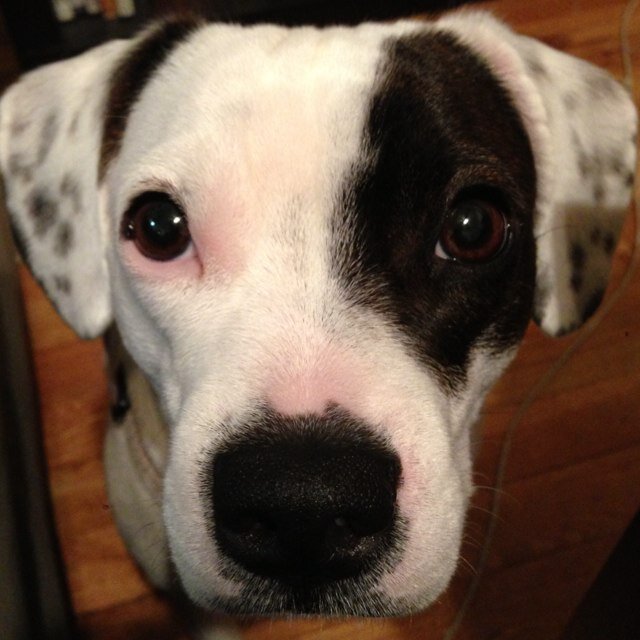 OllieStarz's profile picture. math enthusiast/bad ass MC. 
tweets are my own. woof.