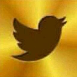 #TeamFollowBack