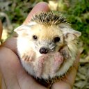 Greg Platt - @gplatt01 - Twitter