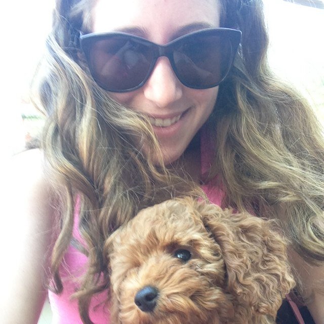 alev91's profile picture. 