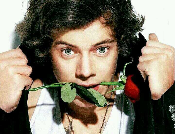 25 Maggio,ho realizzato il mio sogno,ho incontrato i miei idoli! A massive thank you One Direction!