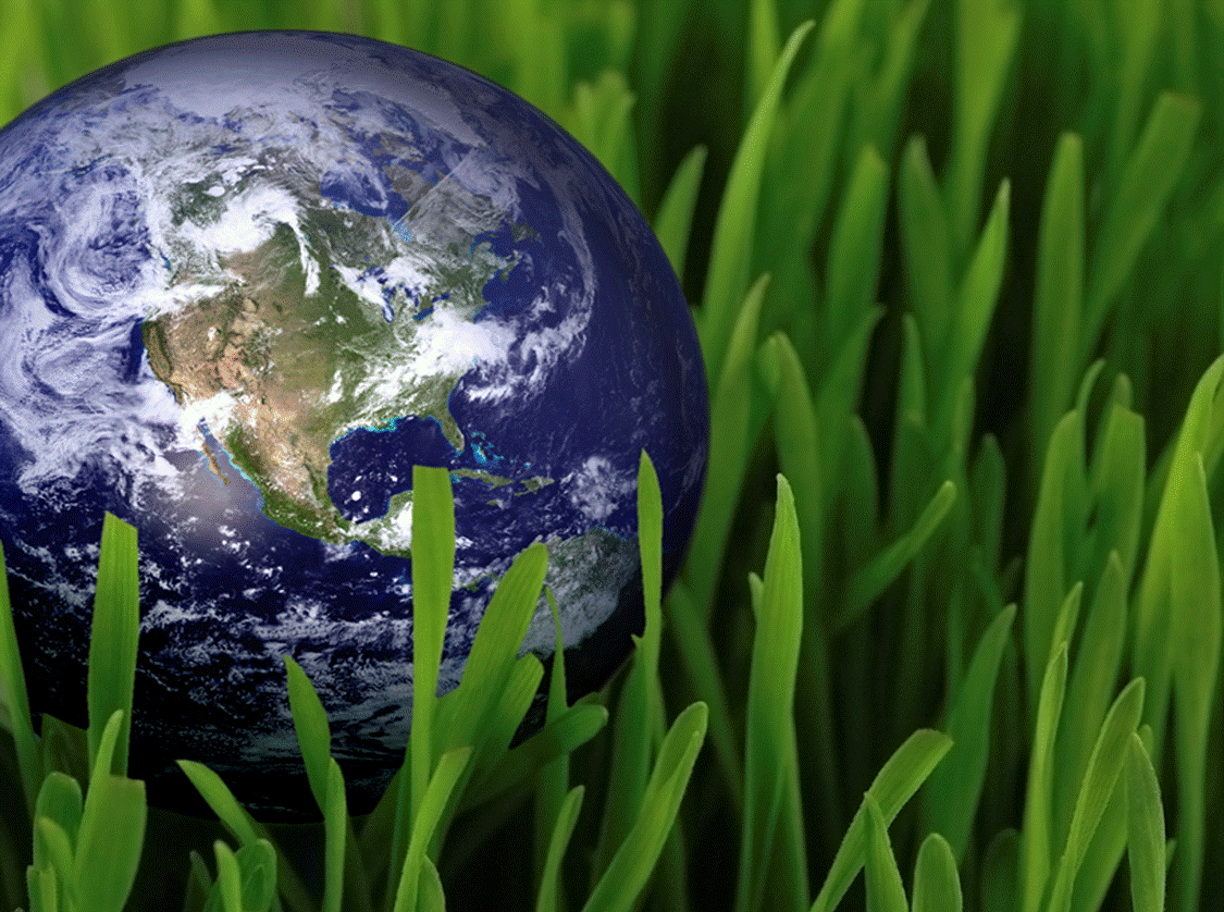 SustainableReTw's profile picture. 