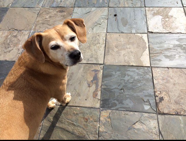 jeffreyjbrown's profile picture. 