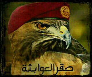 انتبه مني تراني صقر العوابثة
