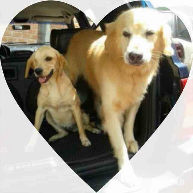 heidigilrodri's profile picture. 