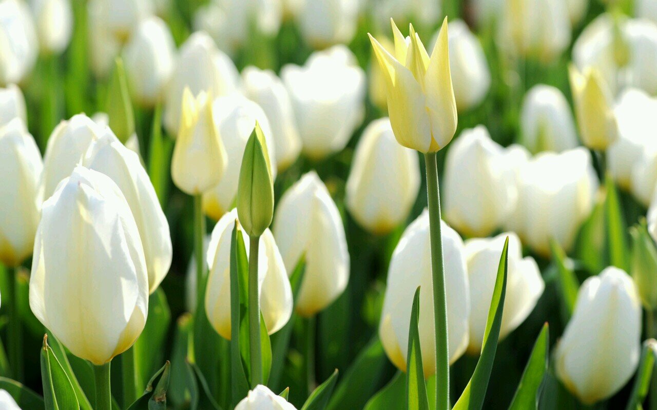 No one has the ability to do something perfect. But each person is given a lot opportunity to do something right.