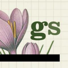 JeannieForrest's profile picture. GrowthSpurt helps people move forward at significant life junctures and helps organizations develop emerging skills in future performers.