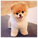 :-) (@119933x) Twitter