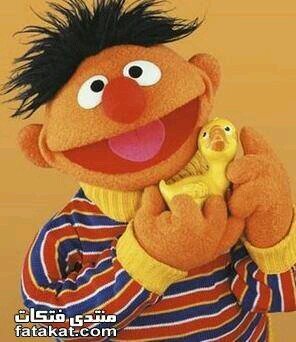 19776Hytham's profile picture. 0963993542810