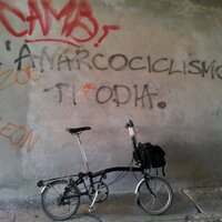 Andrea Cane (@acane) 's Twitter Profile