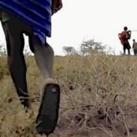 Out of Eden Walk (@outofedenwalk) 's Twitter Profile