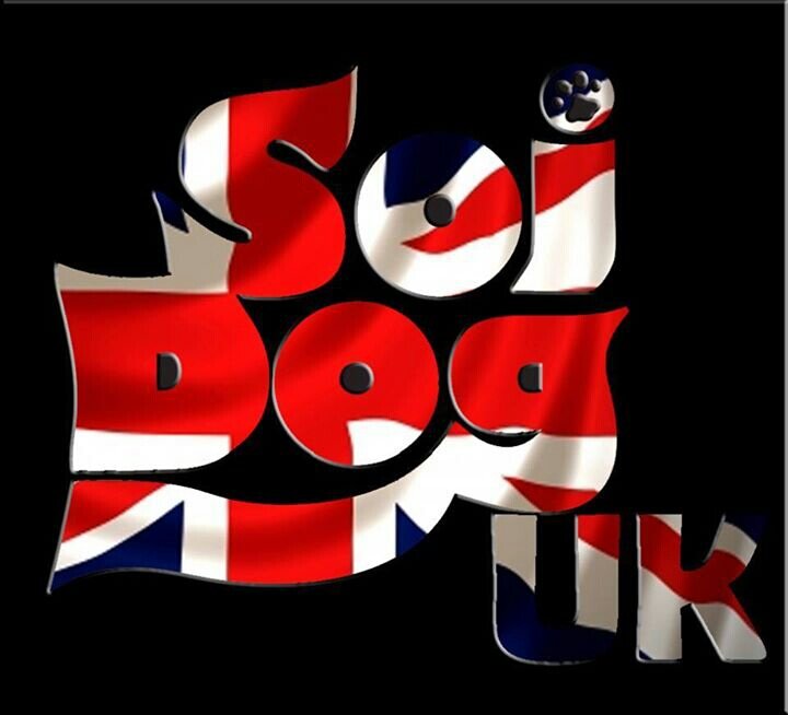 UK twitter page for Soi Dog Foundation, saving the abused and neglected cats and dogs of Thailand. Working also to help end the illegal dog meat trade.