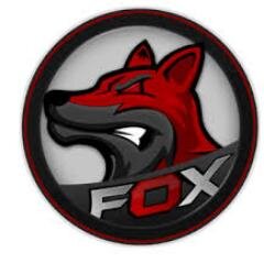 Roster dps.Empire représentant @Fox_Gaming et composé de @Fox_Seiko , @Fox_daxouulk , @SwizaLLL et @Fox_KarNaa