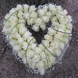fleurig. creatief. mooi. prachtig. spontaan. gezellig en voel je vooral thuis. kleurrijk.. Zuidsingel 44 8255 CH Swifterbant 0321-383268. fleurop.