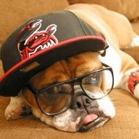 Papy Per (@papperversmania) 's Twitter Profile