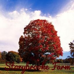 Storybrooke Maple Farm. Syrup, sugar, wood.