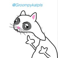 Groompy Kat (@groompykatpls) 's Twitter Profile