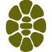 The Turtle (@turtlesoap) Twitter profile photo