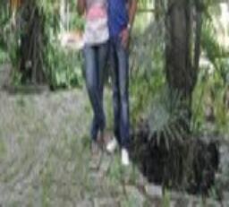 samuelgraca@gmail.com