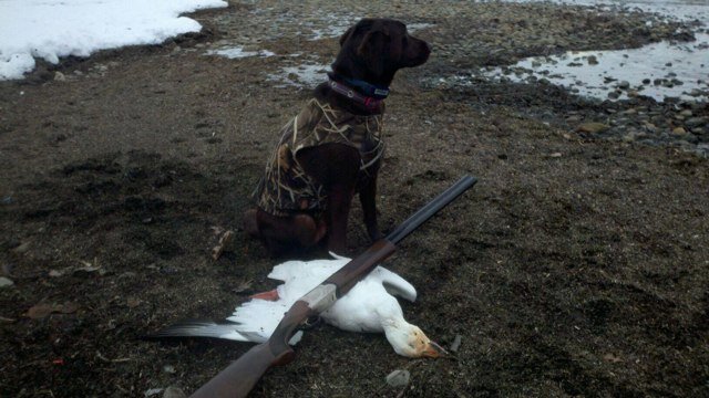Hunting Club for Law Enforcement Officers Dedicated to Hunting Waterfowl