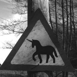 Estudio Loca Por Los   Animales ,