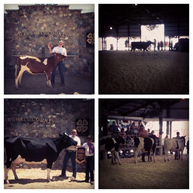 Stroud25_4H's profile picture. Powerstrokin' 24/7 #diesel. 4-Wheelin 365. 4-H is my life #passion. Livestock lovin' 100%. Case IH #always. NM Mid-Term Grad #ClassOf2015. UNOH '17.