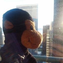 The monkeys of @JamesMontemagno and #HLW, we live it up.