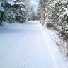 livetraillife's profile picture. Love the sport of Snowmobiling!  Patriot🇱🇷