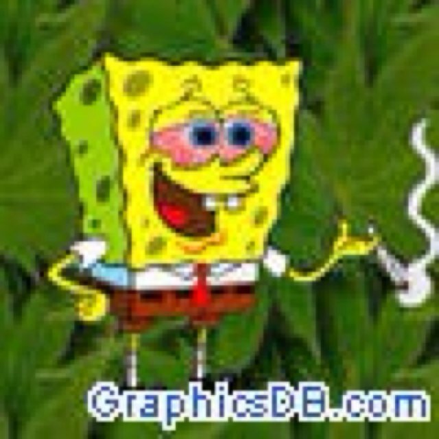Fuck bitches make patties. 
Parody. 
Not afiliated with spongebob.
Yolo swaggy 420 blaze it nigga