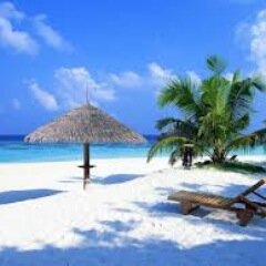 TwitCancun's profile picture. Comunidad en línea del estado de Quintana Roo. Hashtags #QRoo #GolfodeMexico #Sureste #QuintanaRoo, #México