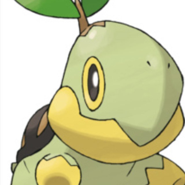 H-hi there. I-i'm Shaun the Turtwig. I have no mommy or daddy or any family. Will you be my friend? #Male #Wild