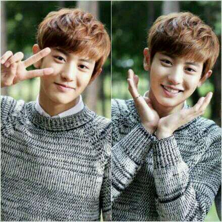 Park Chanyeol Roleplayer...