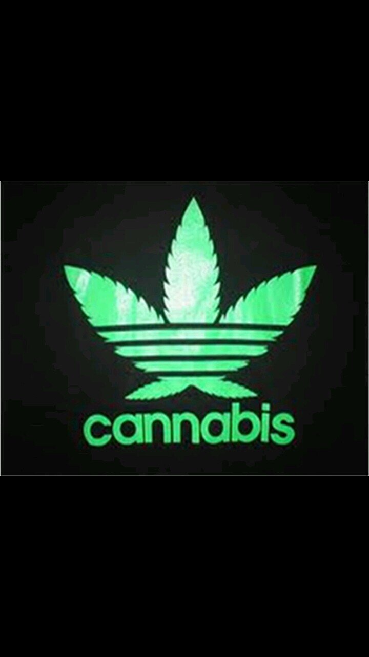 Stoner | burntheganja@hotmail.co.uk