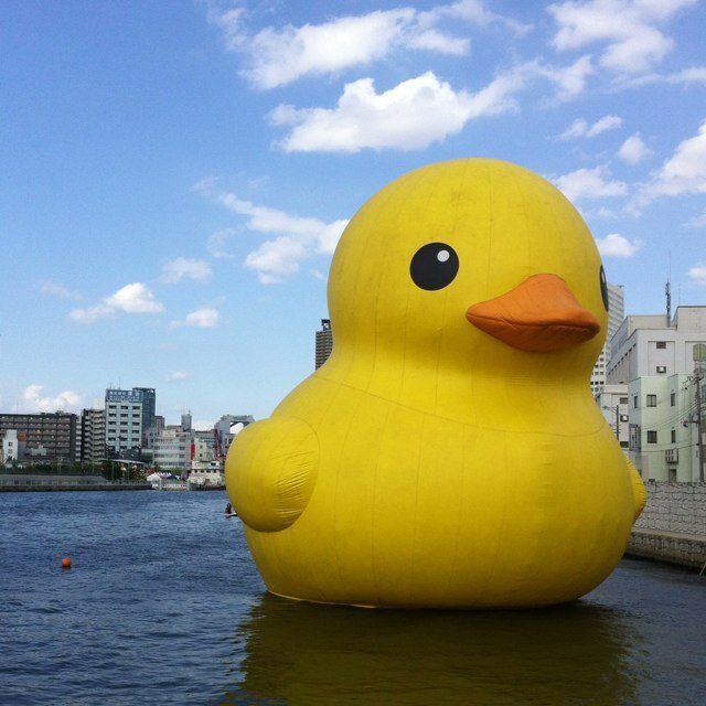 maru5829's profile picture. ボートレース・競馬・酒・プロ野球・高校野球・ボクシング•大相撲•サウナ好きです。最近、落語もマイブームです。