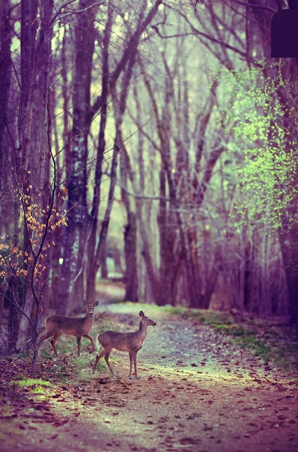 lightfam5's profile picture. 