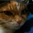 nyatarin
