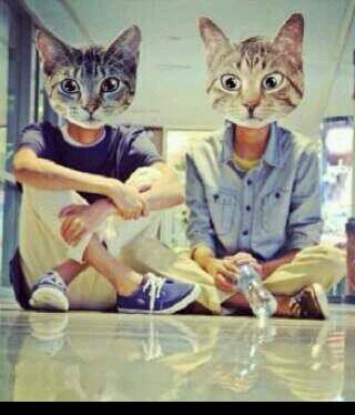 ‏فولو هنا @mnoor_2090