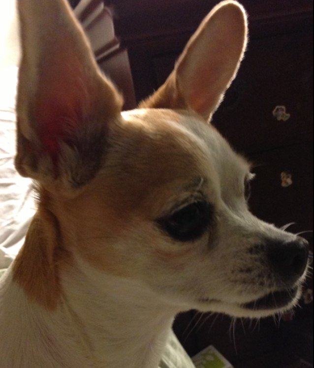 pristt9's profile picture. 